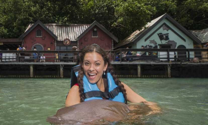 Dolphin Cove Jamaica