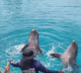 Ocean Adventures Punta Cana