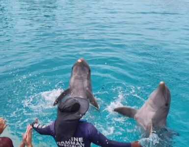 Ocean Adventures Punta Cana